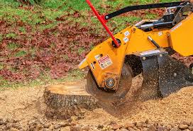 Best Tree Removal  in Linden, AL